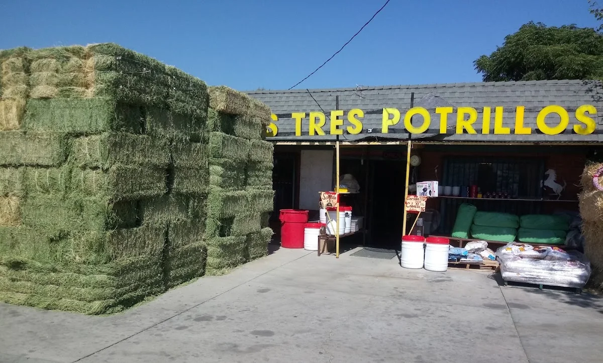 Los Tres Potrillos business photo